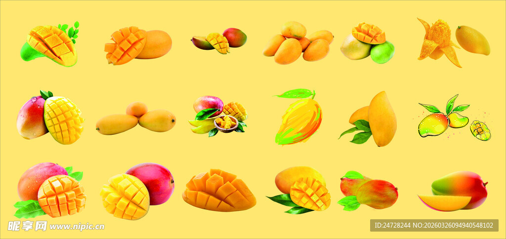 多样美味热带水果展示