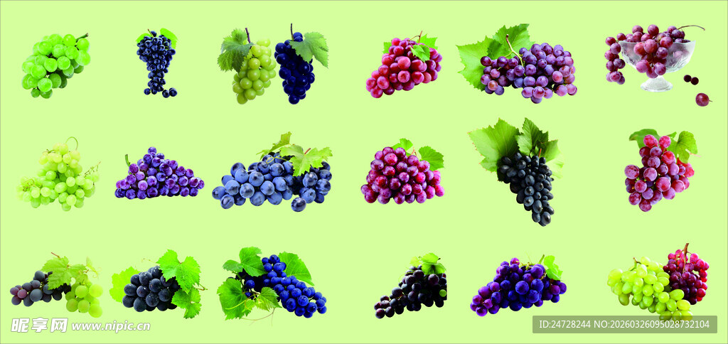 多彩葡萄图案设计素材