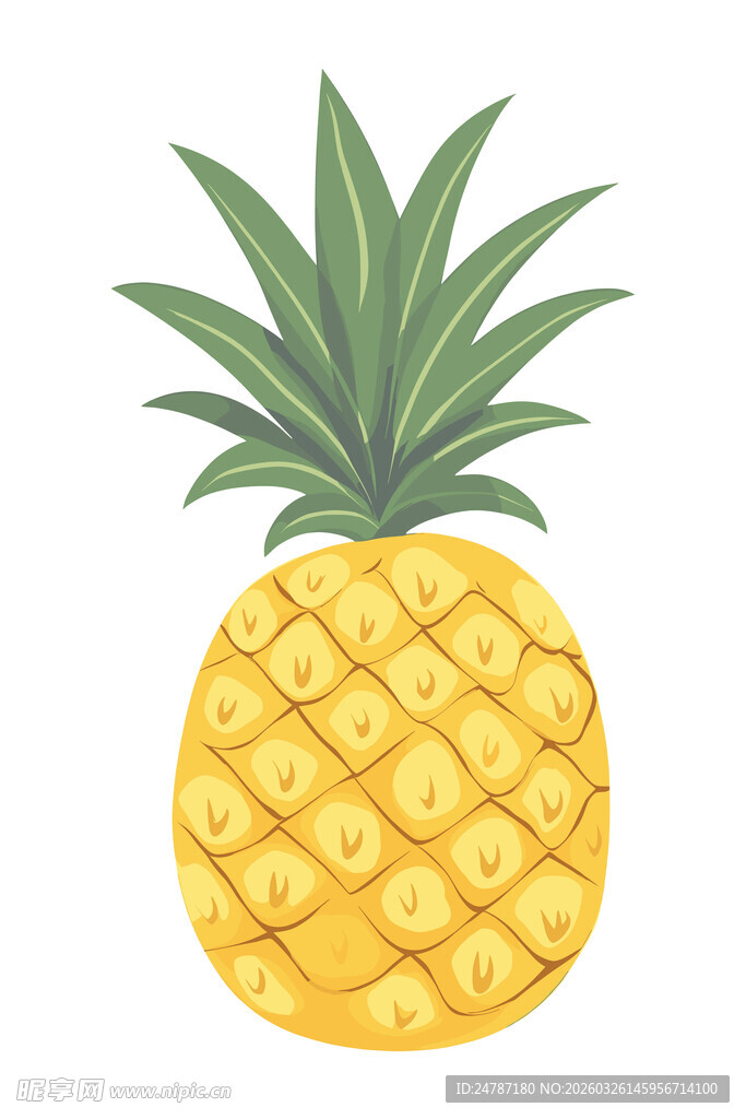 手绘菠萝插画