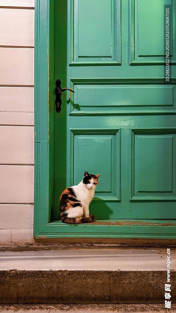 绿门前的慵懒猫咪