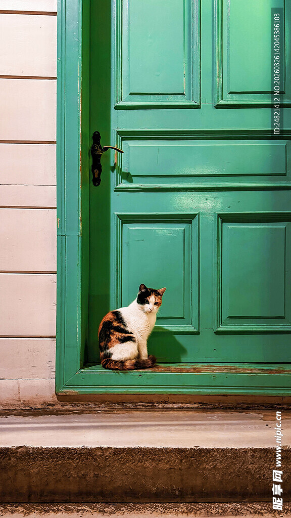 绿门前的可爱猫咪