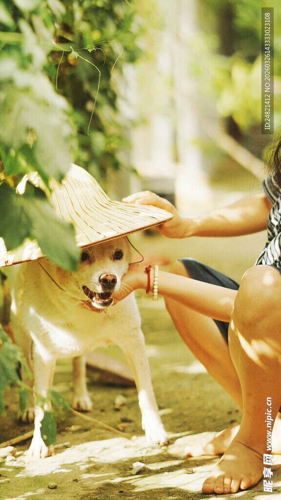 人与萌犬温馨互动瞬间