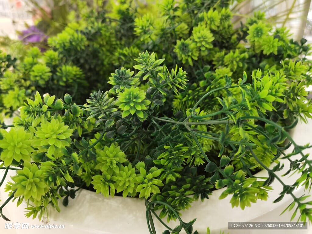 仿真翠绿盆栽植物清新小景