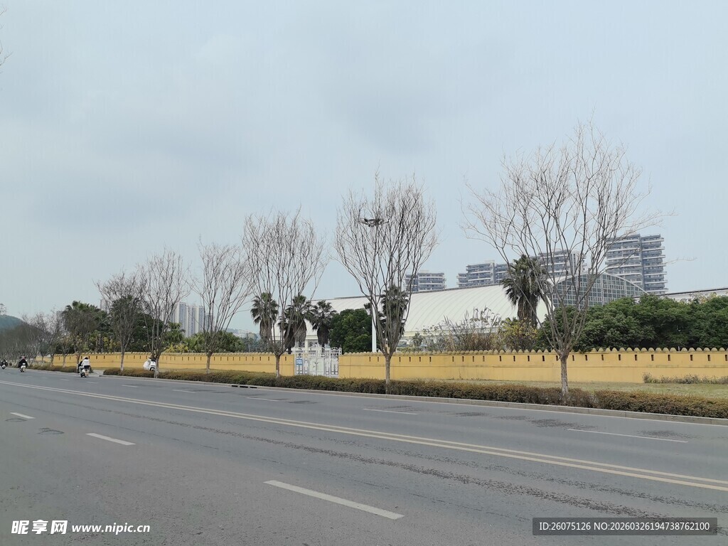 空旷道路旁的树木与建筑