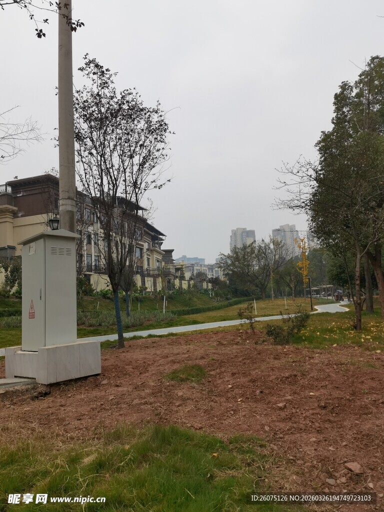 户外宁静的绿化景观地带