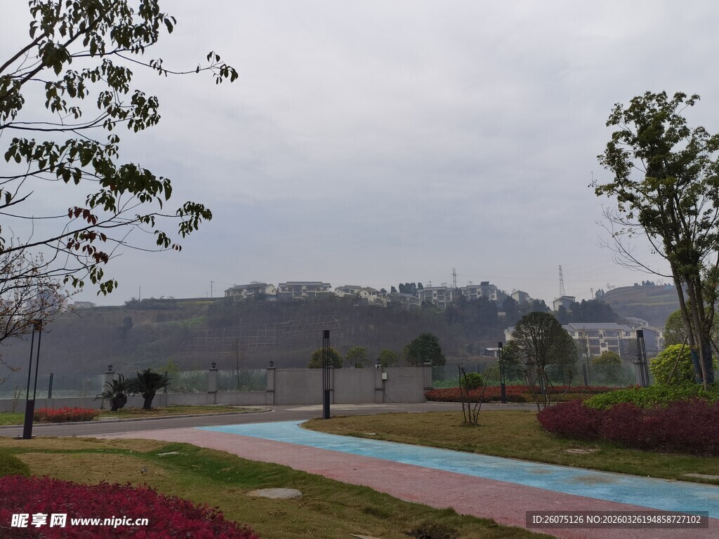 公园彩色步道风景