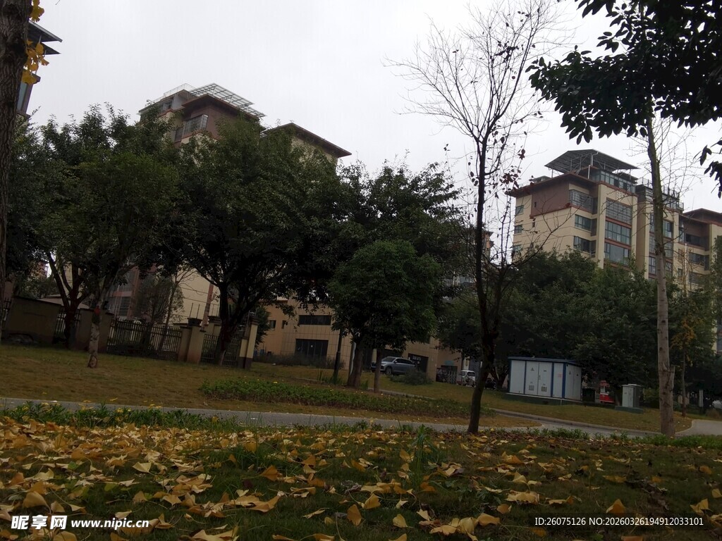 秋日小区景色