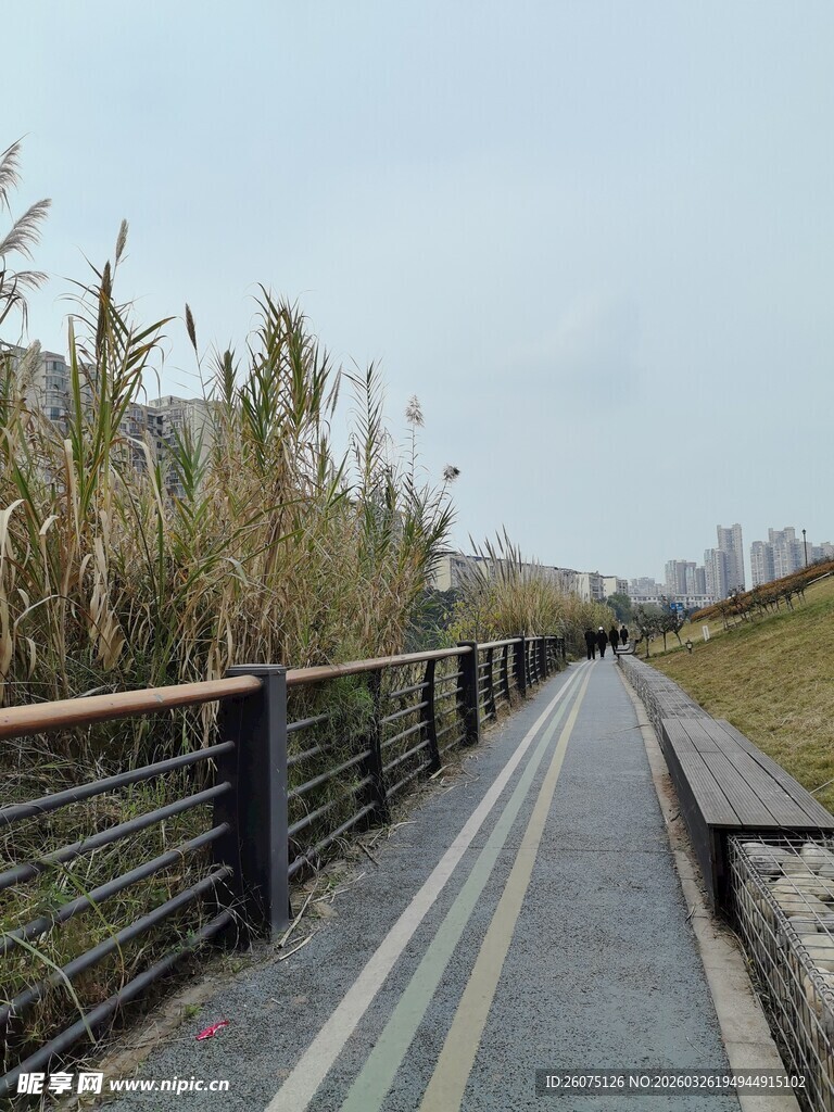 河畔步道冬日萧瑟景致