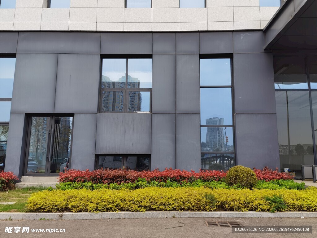 现代办公楼前多彩绿植景观