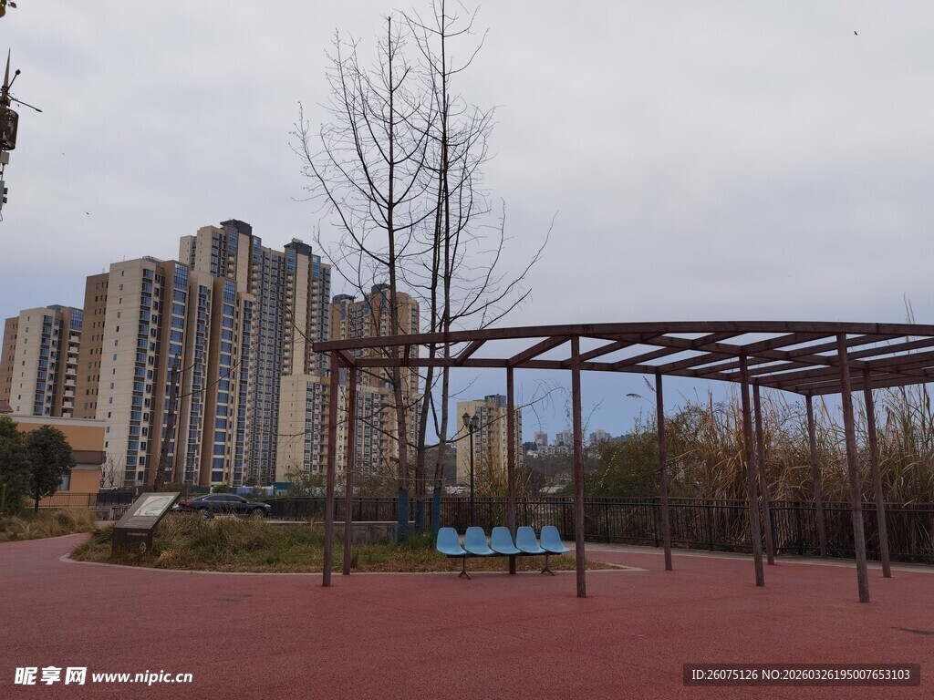 城市公园中的休闲场景