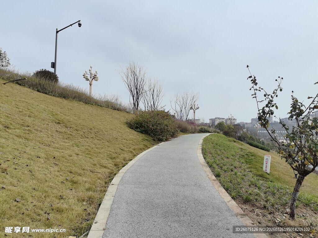 郊外蜿蜒的宁静小路