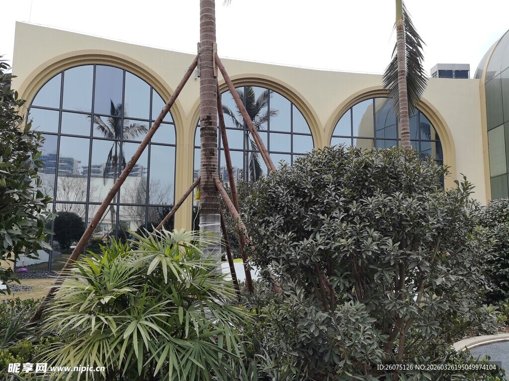 现代建筑旁的绿植景观