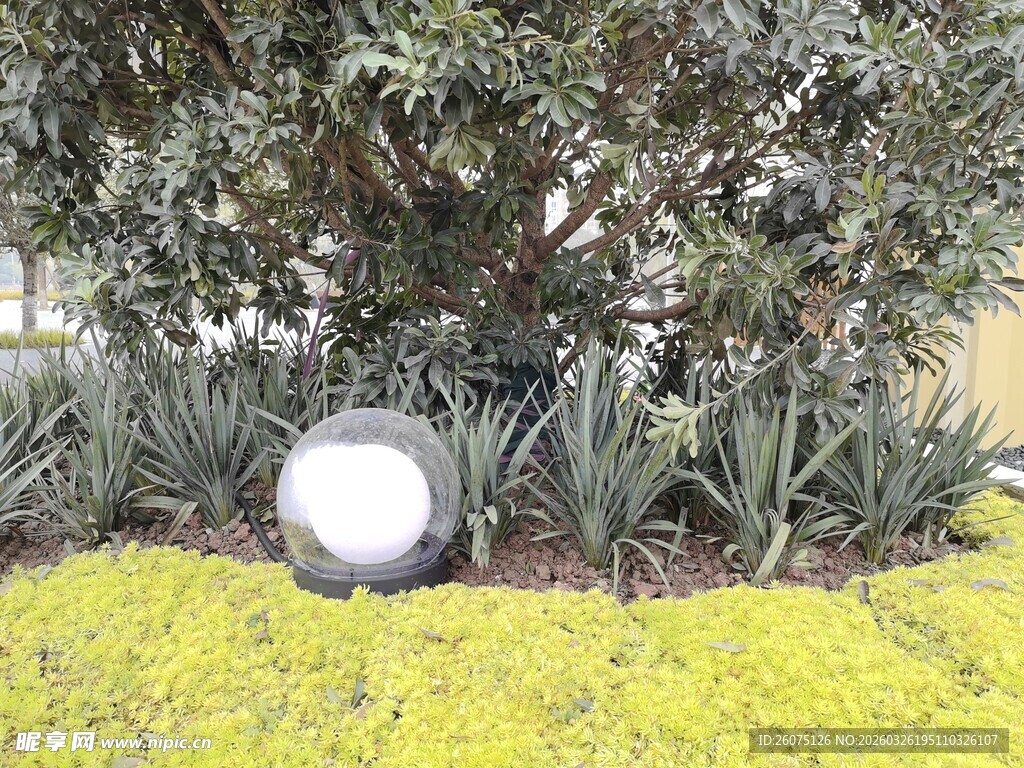 草坪中的圆形景观灯