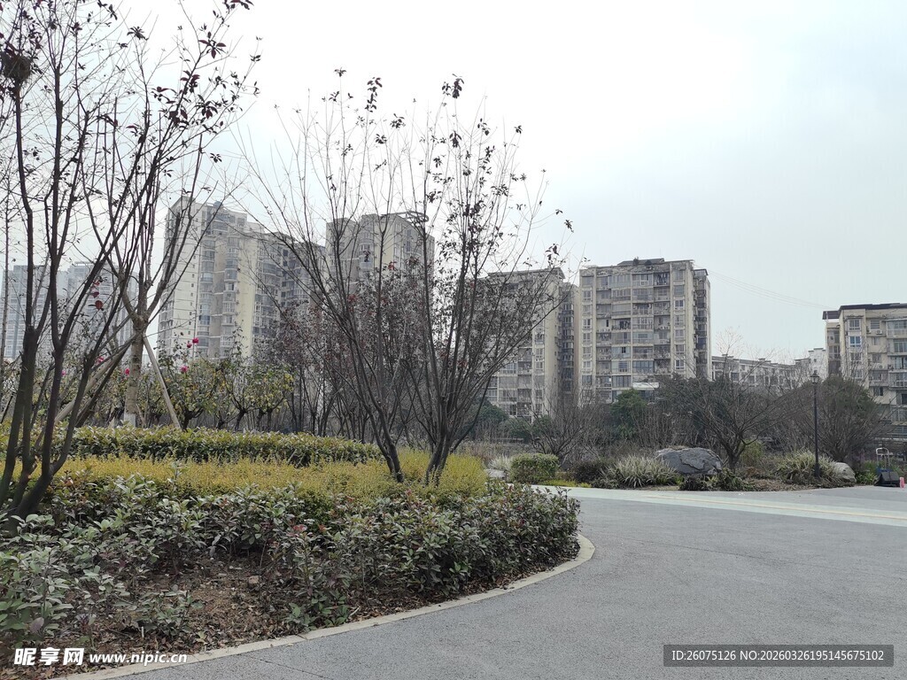 城市道路旁的绿植与建筑