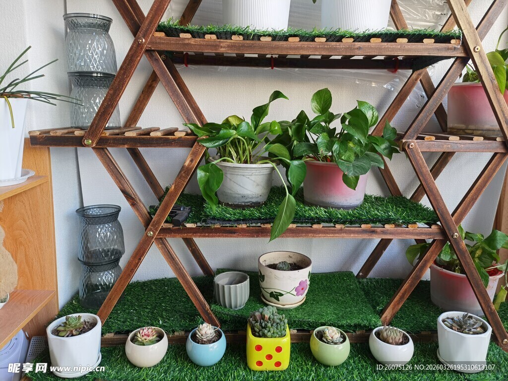 多层花架上的绿植盆栽