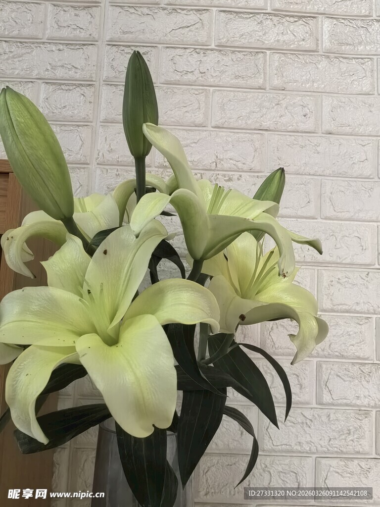 清新淡雅百合花束