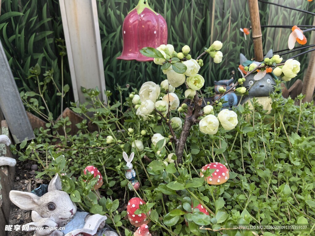 花园中的多彩植物与摆件