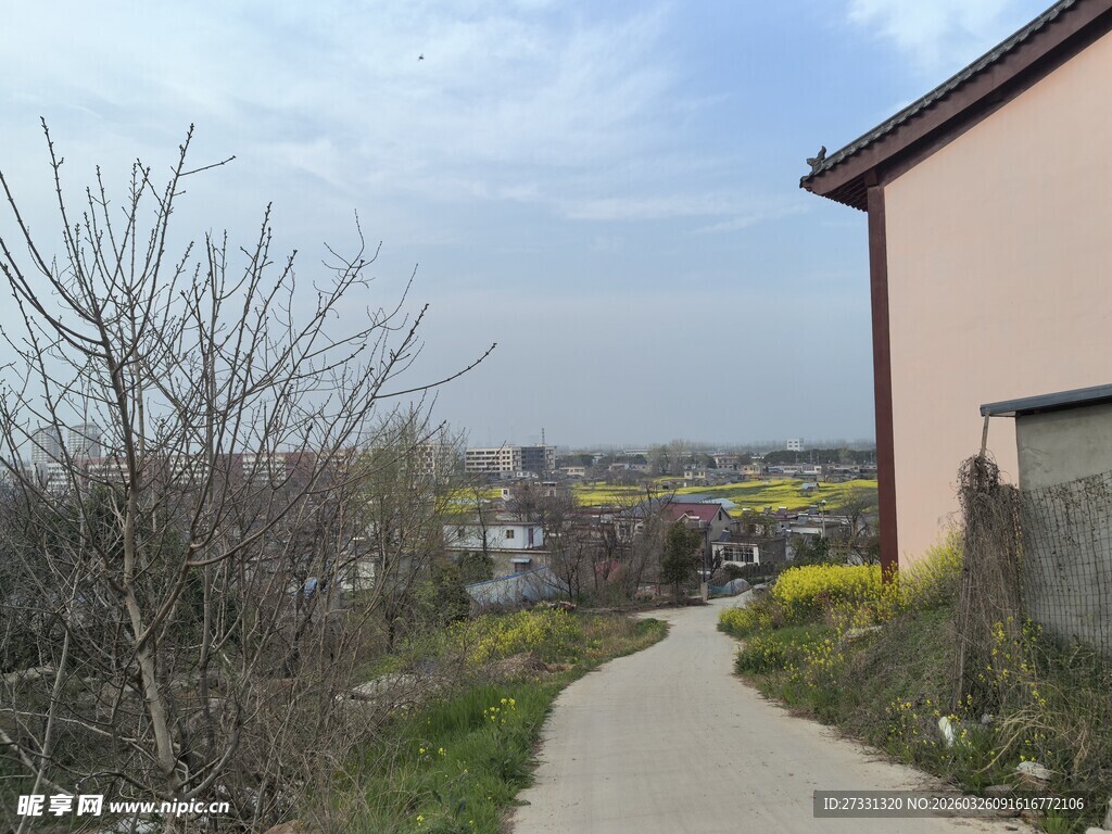 乡村小径旁的房屋与远景