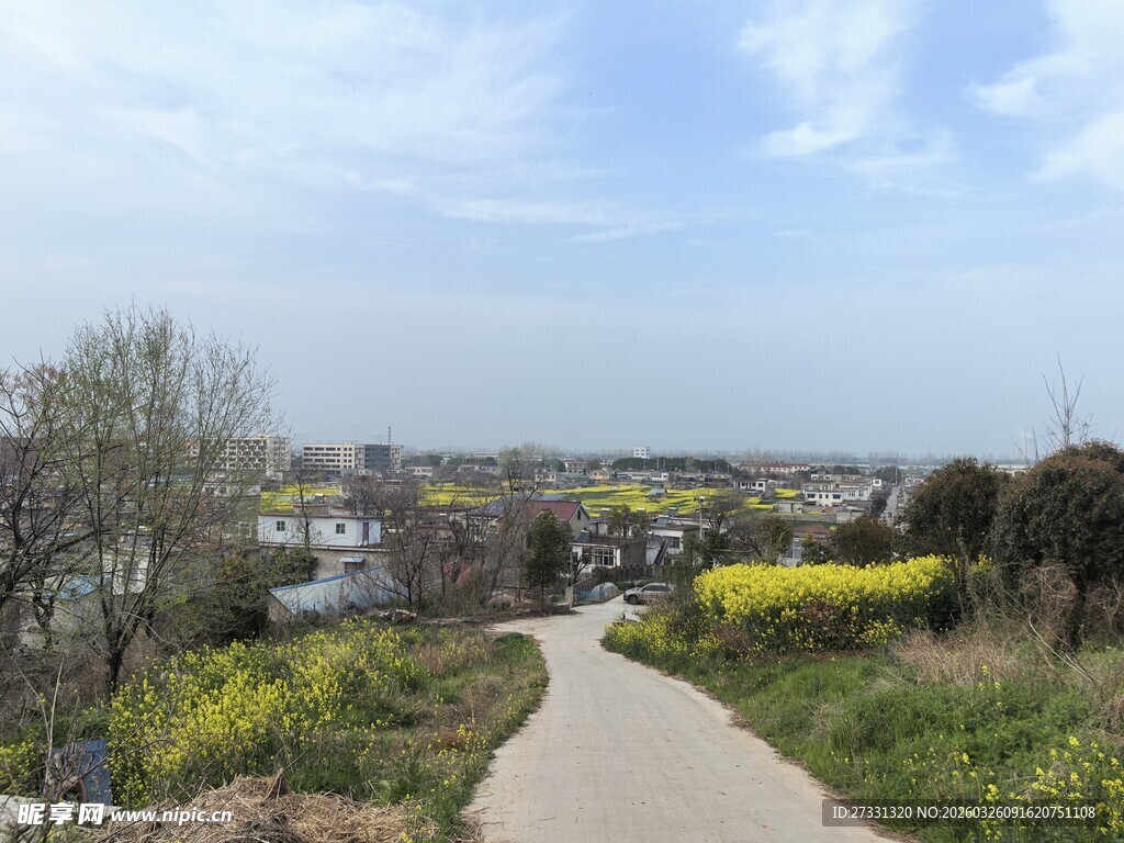 春日乡间小路田园美景
