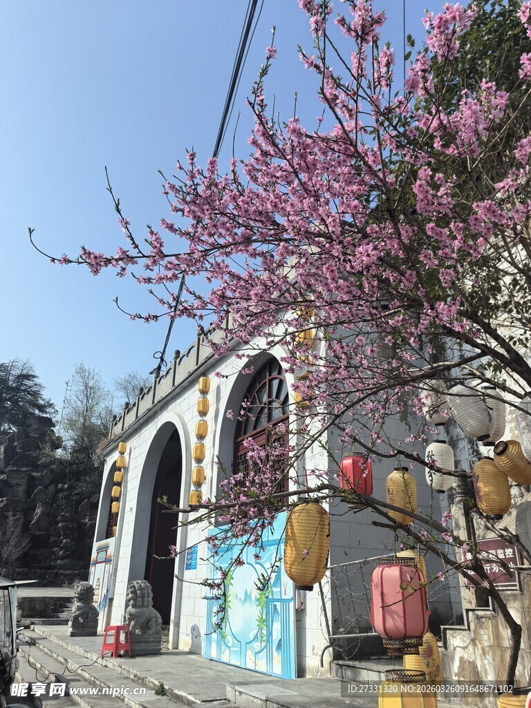 古建桃花相映成趣