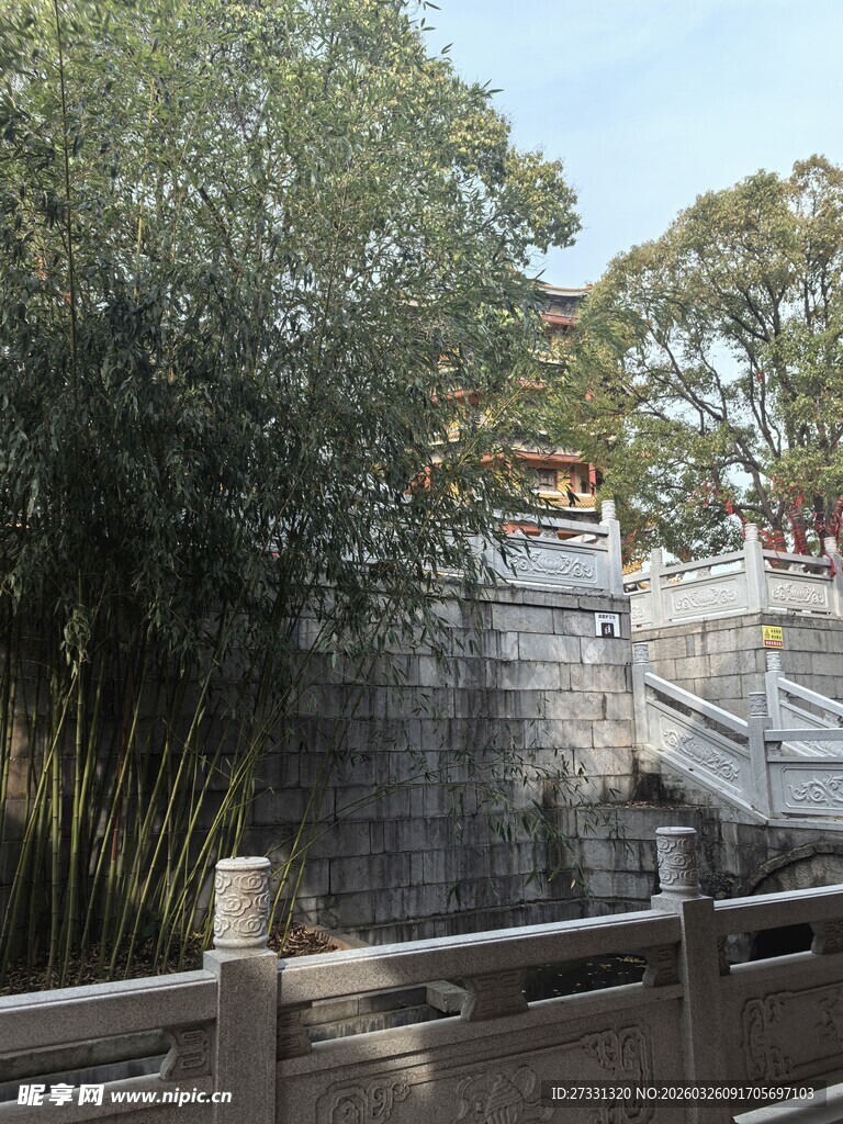 古墙旁的葱郁竹林景致