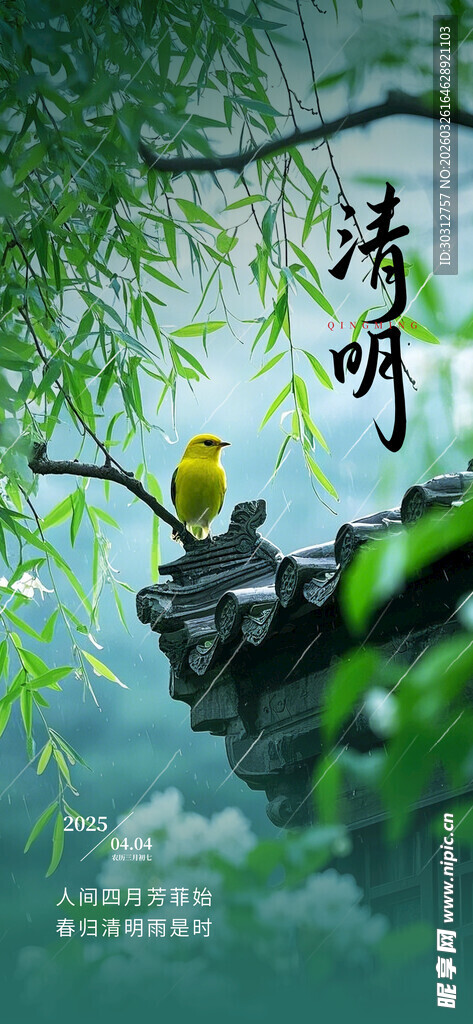 柳树枝头双鸟栖