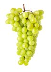 一串鲜绿的葡萄