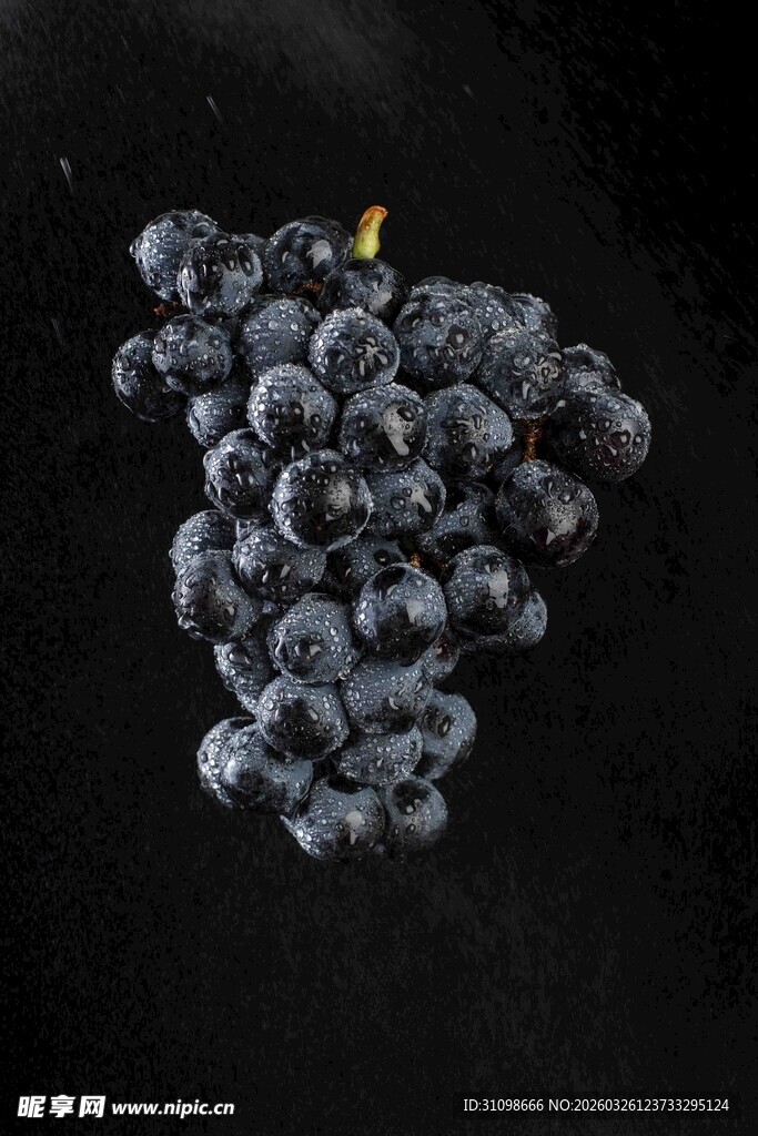 黑底上的紫葡萄串