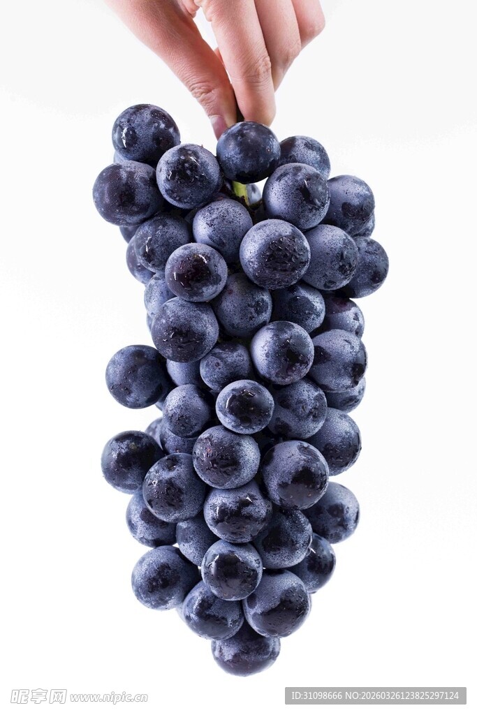 手捧紫葡萄特写