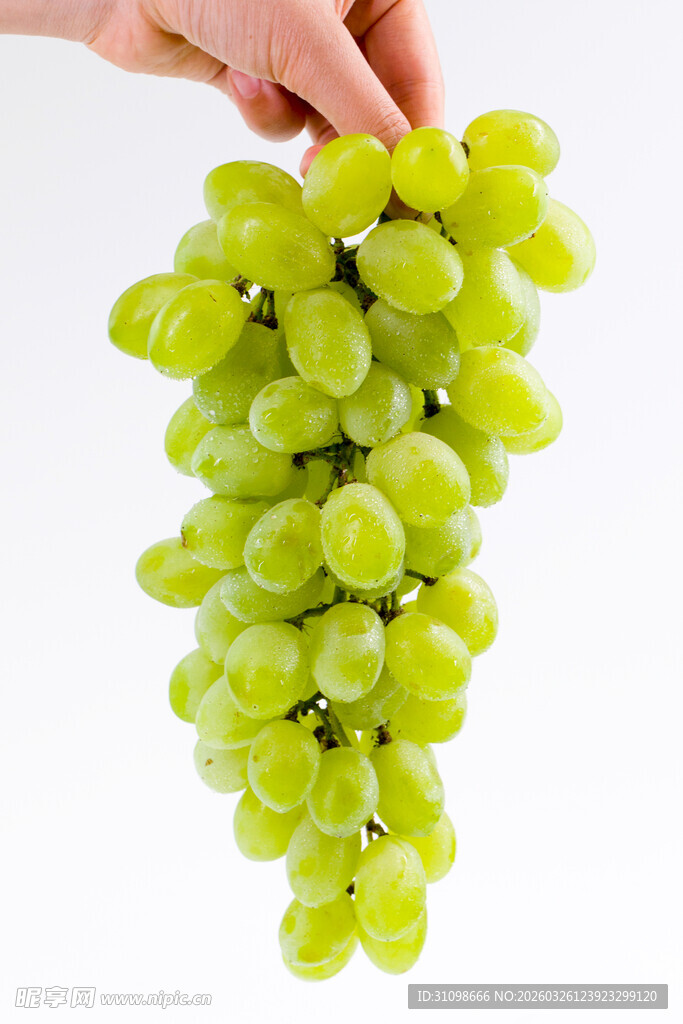 手捧鲜绿葡萄串