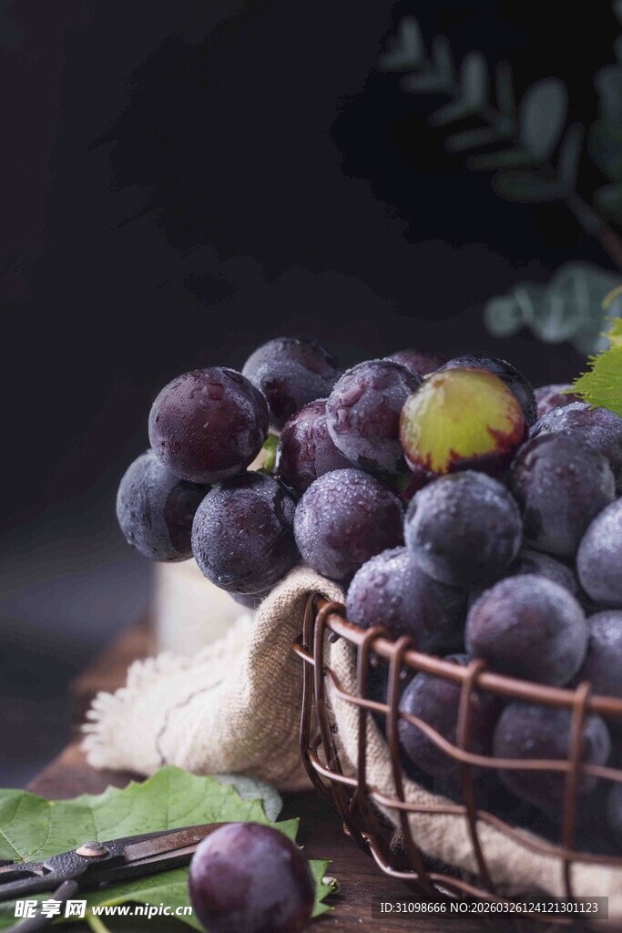 篮子里的紫葡萄诱人果实