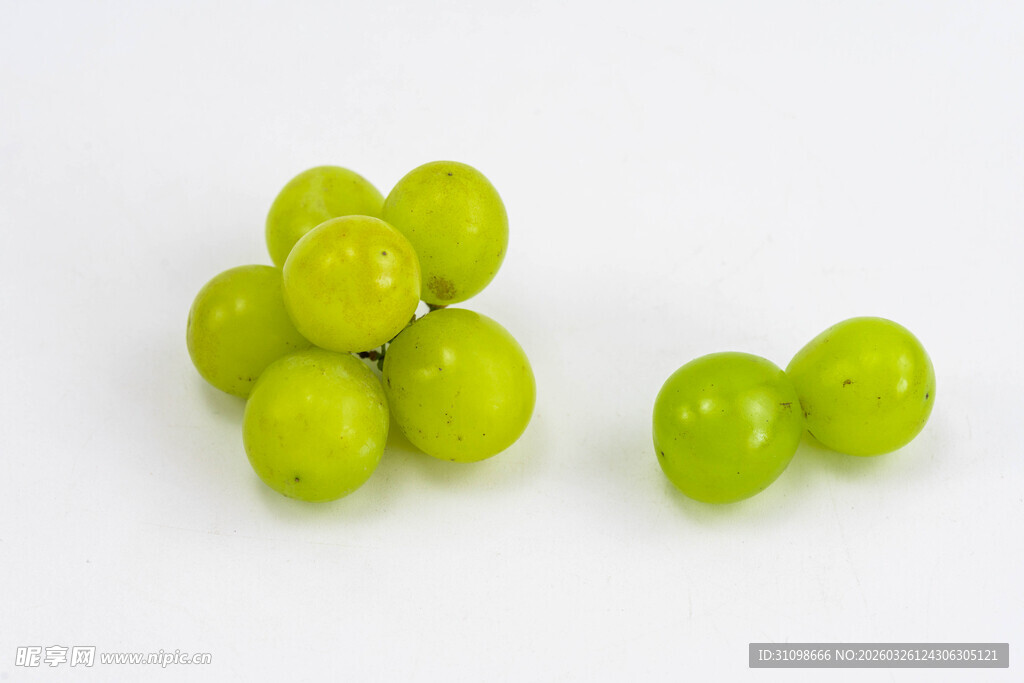 青葡萄