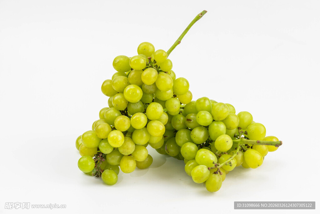 青葡萄串特写
