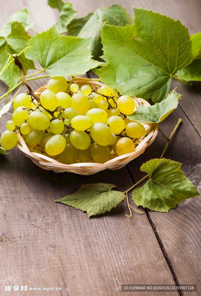 木桌上竹篮里的新鲜青葡萄