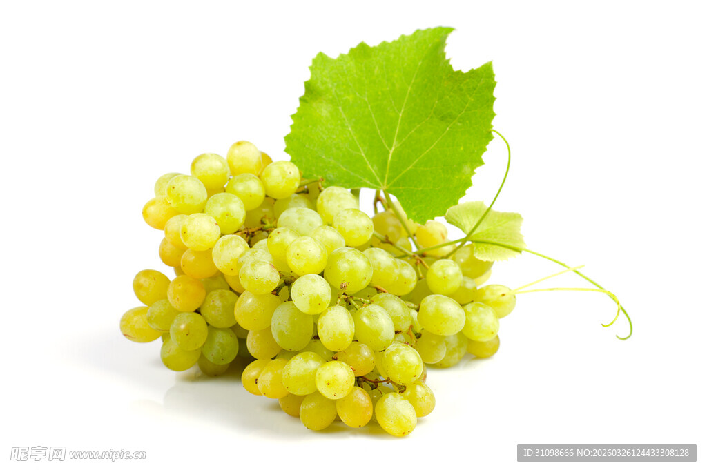 新鲜绿葡萄