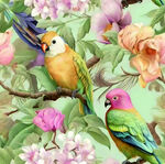 花鸟图中多彩鹦鹉