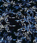 蓝白枝叶花纹图案