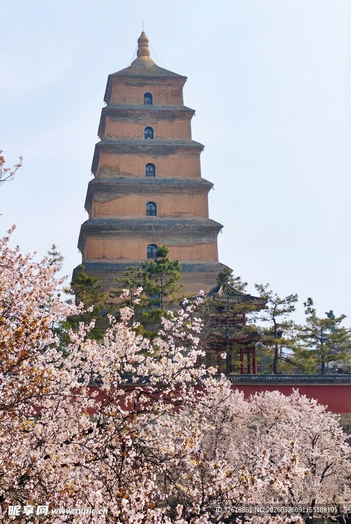 春日下繁花簇拥的大雁塔