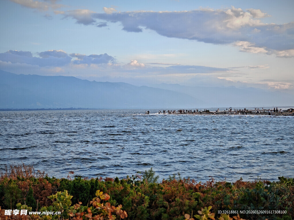 海边黄昏景致绿植伴海