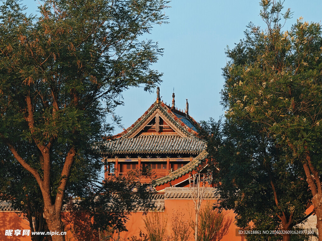 古建楼阁隐于葱郁树木间