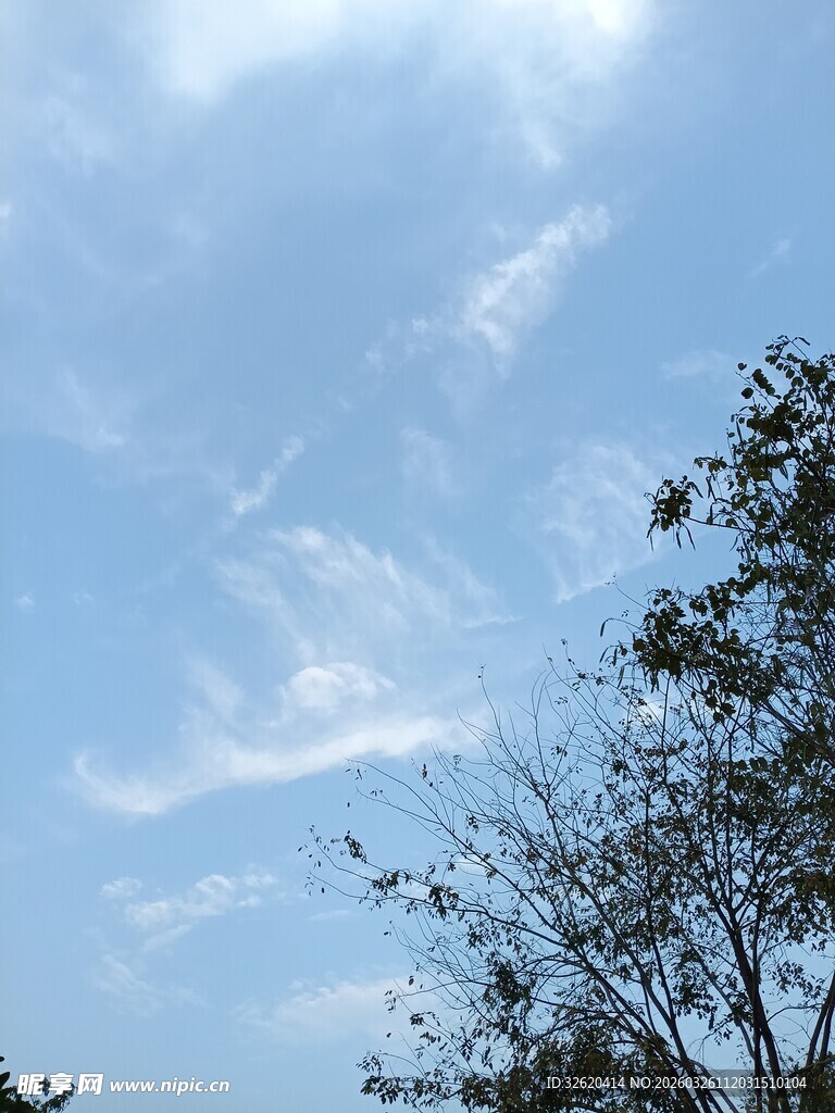 蓝天绿树间的美丽景致