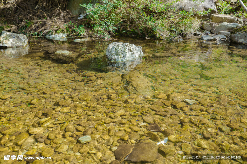 清澈溪流中的鹅卵石景观