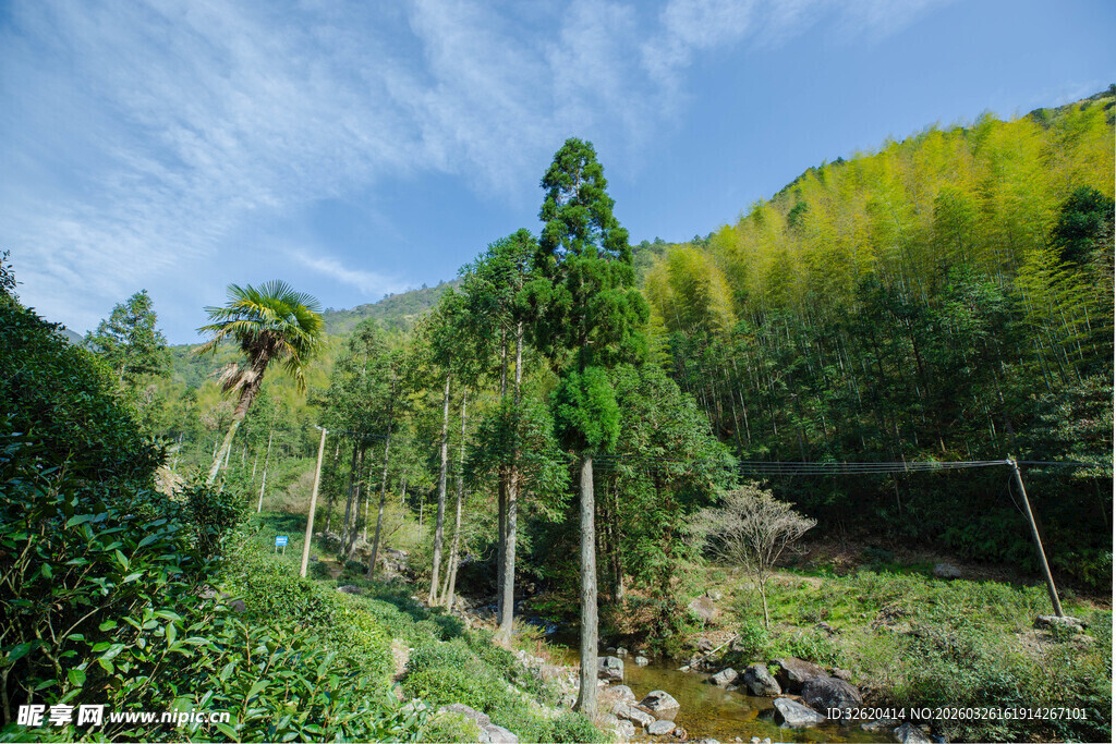 山林溪流间的清新自然景