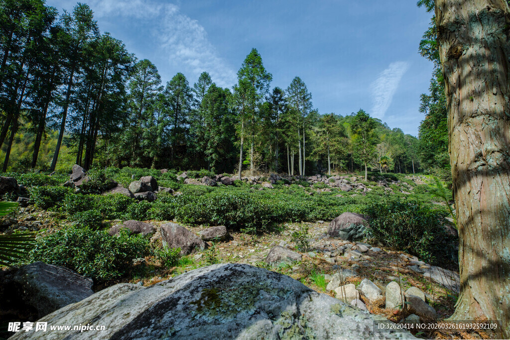 山林间的自然岩石景观