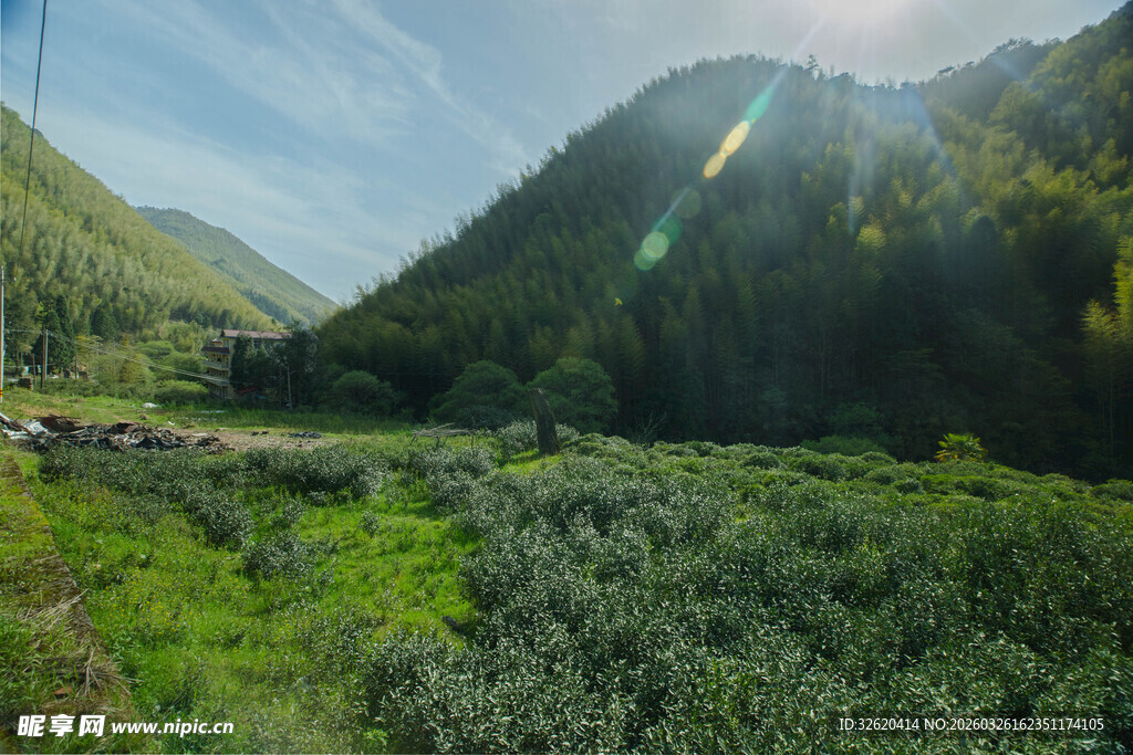 山间绿野的明媚自然风光
