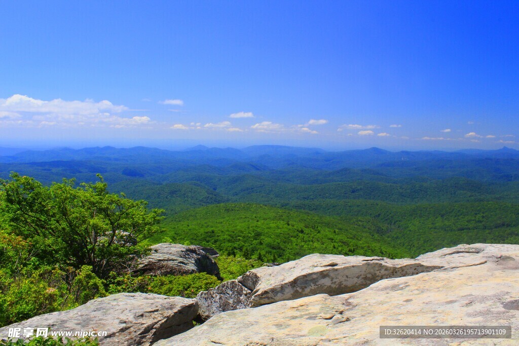 山顶俯瞰绿意盎然美景