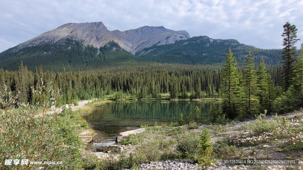 山间翠绿森林与清澈小湖