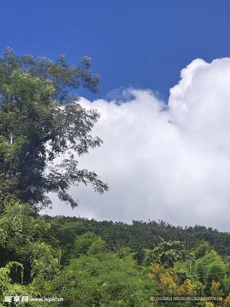 蓝天白云下的葱郁山林