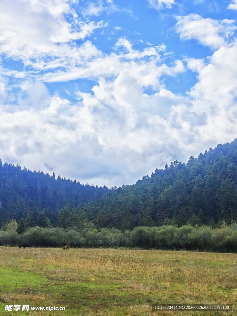 蓝天白云下的绿野山林