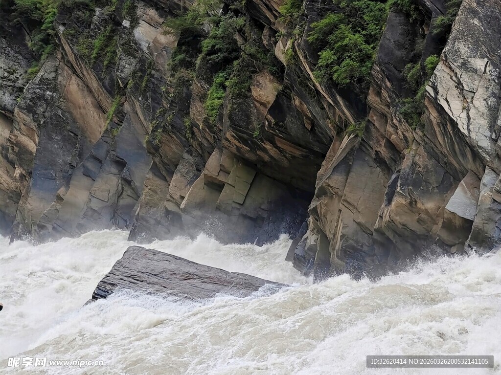 湍急河流中的漂流木